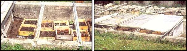 The author checks his young plants in early spring, after having planted seeds in these wooden crates months before. With the help of horse manure, a little timely watering and plastic or glass sashing, you can create a miniature greenhouse to jump-start a healthy and robust spring garden.